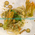 Spaghettoni al pesto di pistacchi e zucchine ricetta Natale Giunta da Prova del Cuoco