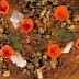Risotto carote e taleggio ricetta Sergio Barzetti da E' sempre mezzogiorno