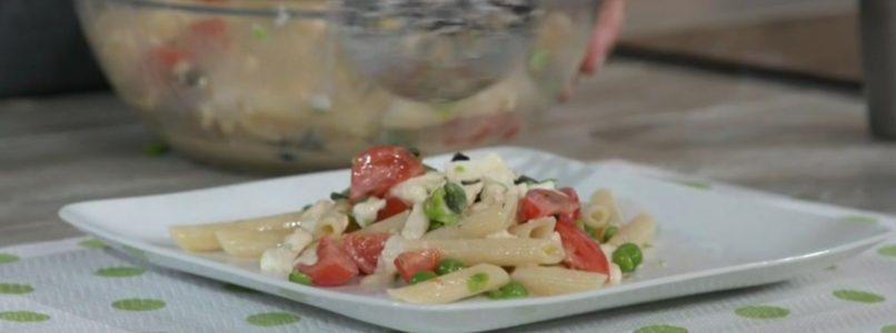 Ricette all’italiana | Ricetta insalata di pasta con mozzarella di bufala di Anna Moroni